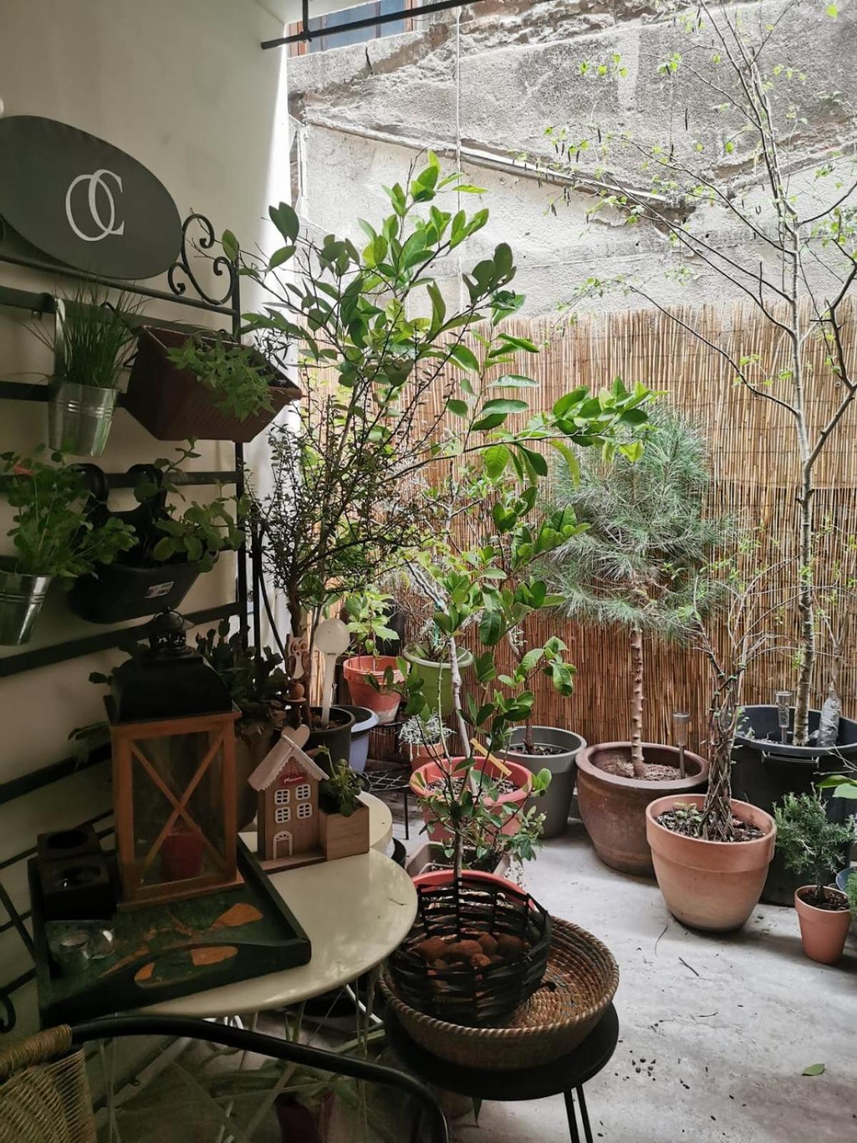 La Maison D'Aromarie Tournus Dış mekan fotoğraf
